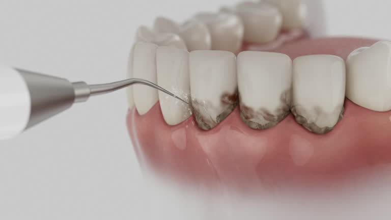 Reliable Dental contractor in Ossun, LA by Dentist Open Now